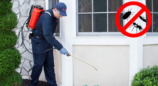Güzelbahçe Gümüşkurt İlaçlama böcek ilaçlama ve haşere kontrolü — ilaclama-tr.com